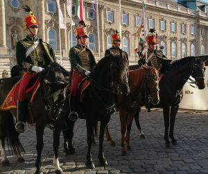 Honvédelem